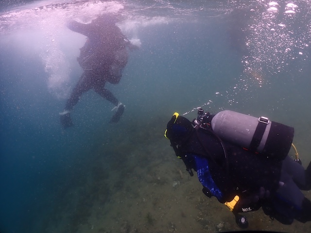 レスキューダイバー　パニック