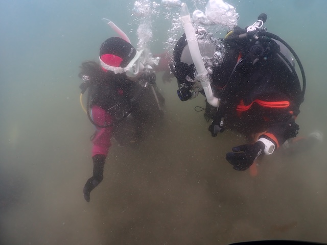 動きすぎによるダイバーの対処