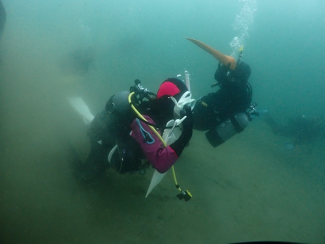 マスクストラップ