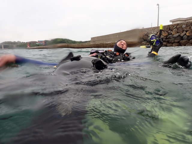 トラブルダイバー
