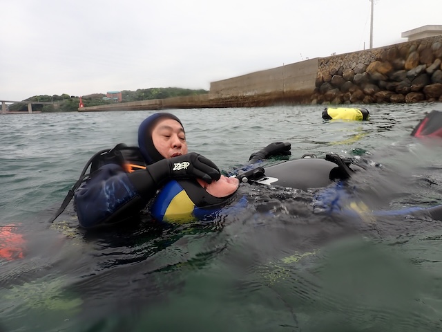 パニックダイバー