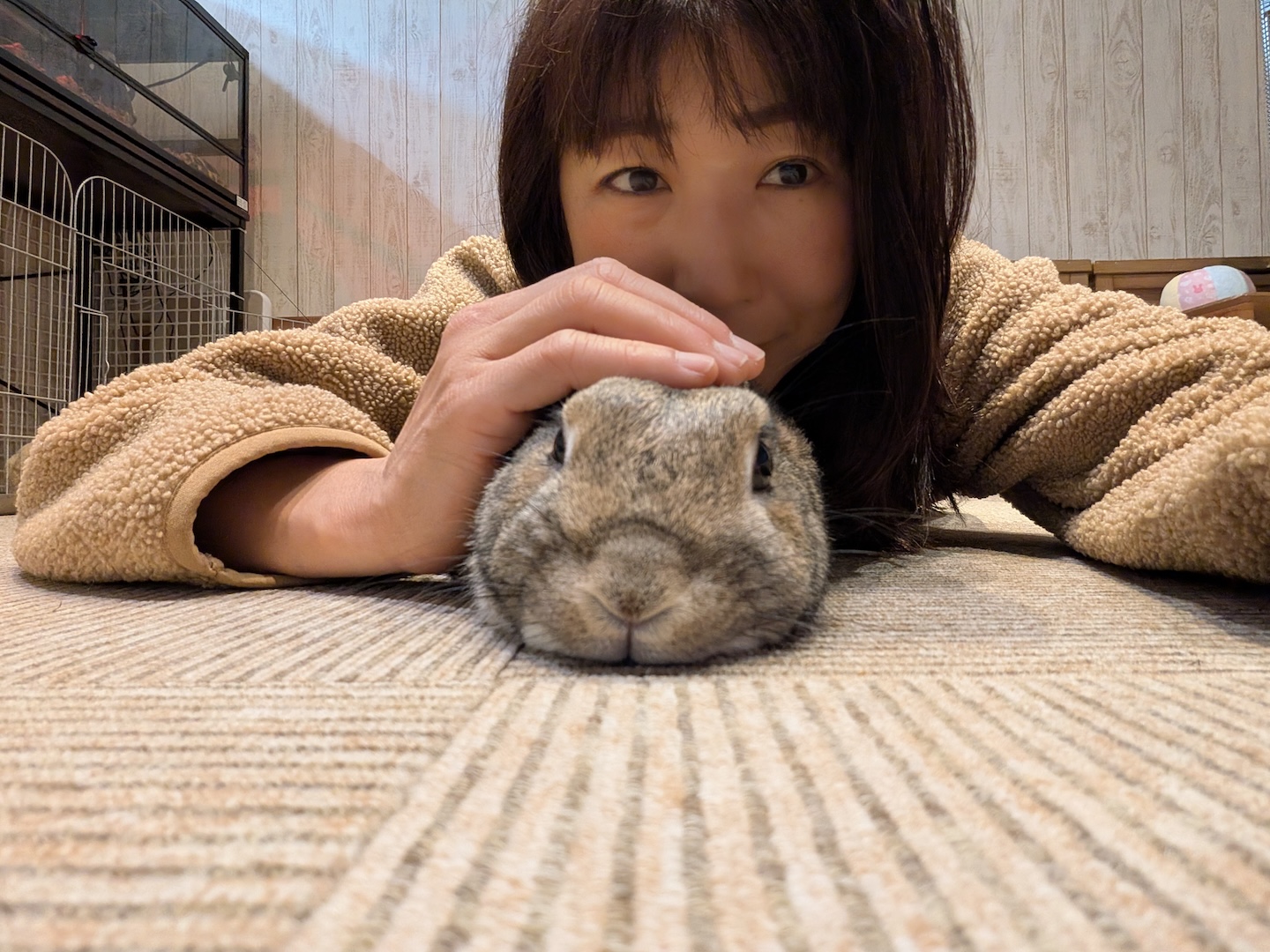 うさぎとサンライズ店長