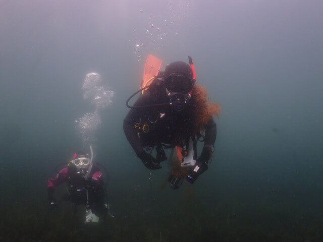 志賀島　ファンダイブ