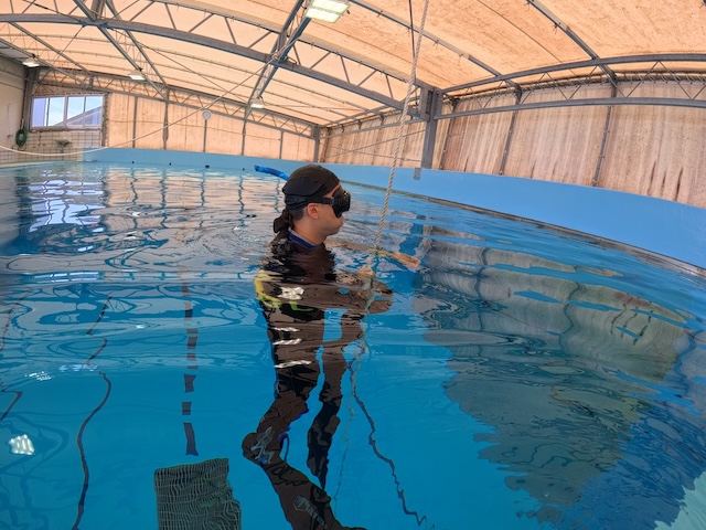 素潜りプールコース福岡