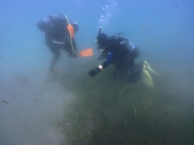 足つる