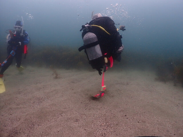 志賀島　ウエイト脱着