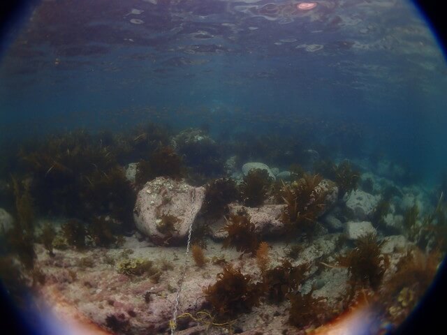 志賀島　白瀬