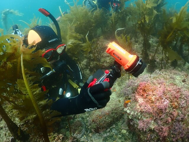志賀島　フォトアダイブ