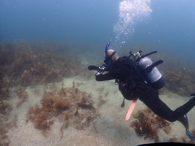志賀島　ミニダイブ