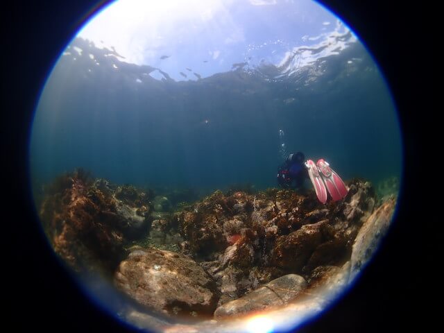 志賀島　白瀬
