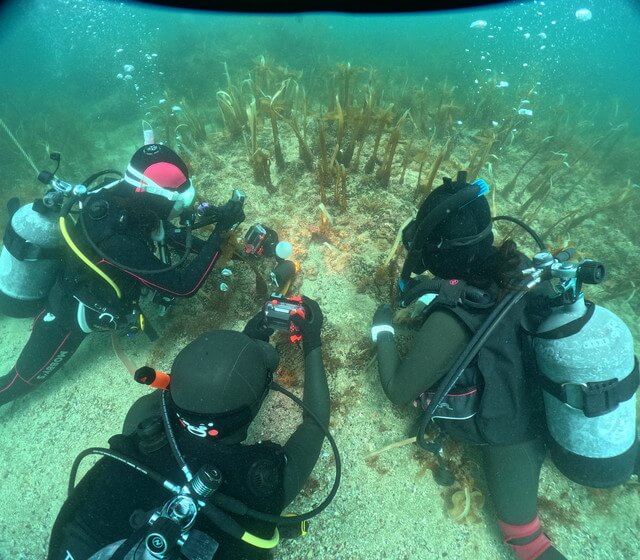 志賀島 ファンダイブ