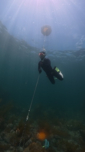 志賀島白瀬素潜り