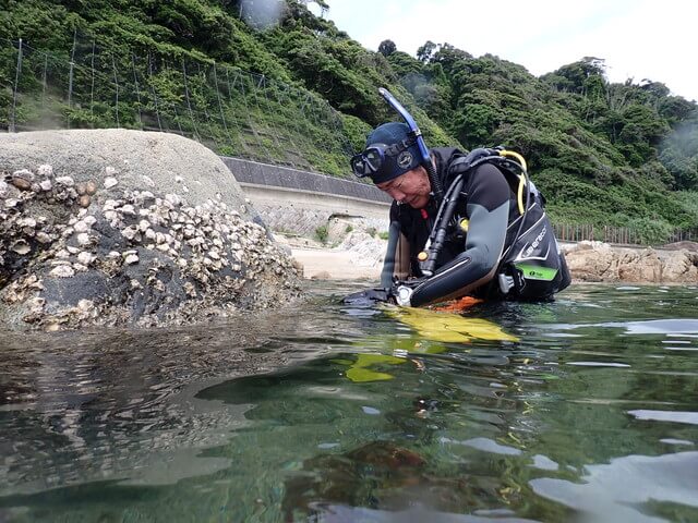 志賀島　白瀬