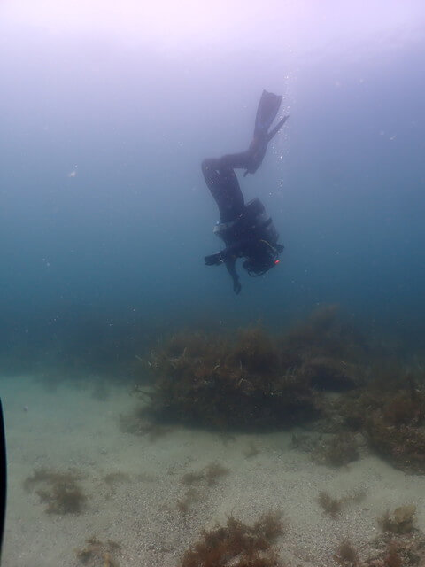 志賀島 中性浮力