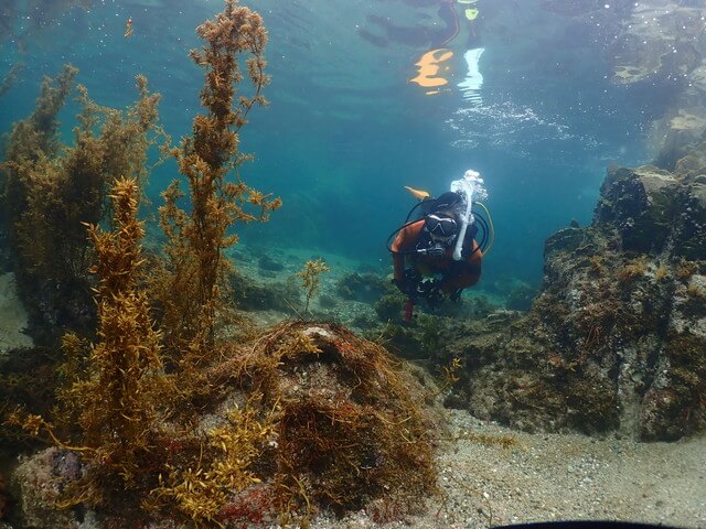 志賀島　白瀬