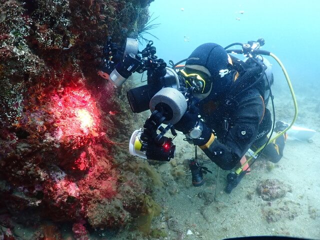 志賀島　フォトダイブ