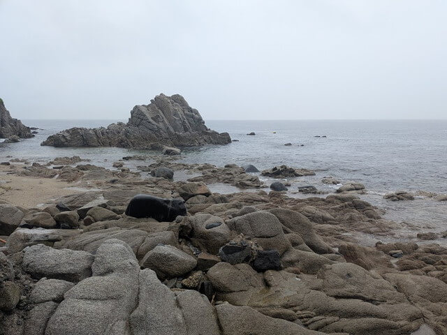 志賀島　白瀬