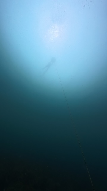 素潜り