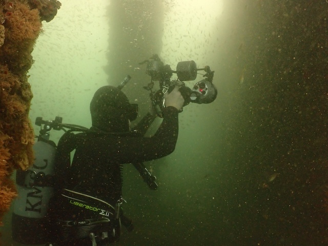 水中写真