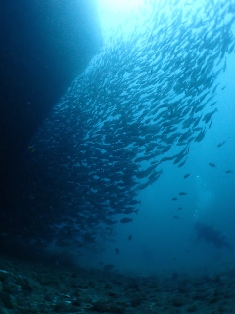 松島