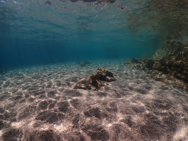 志賀島ダイビング夏