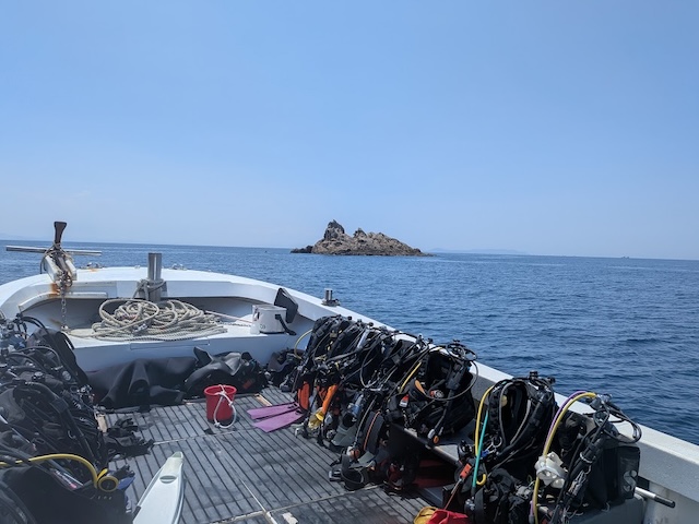 まだらじま