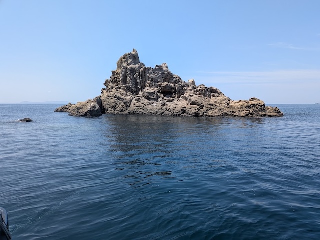 大瀬