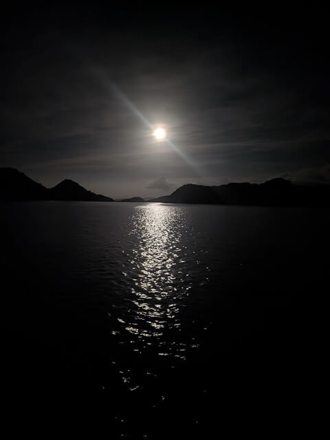 深夜ダイビング