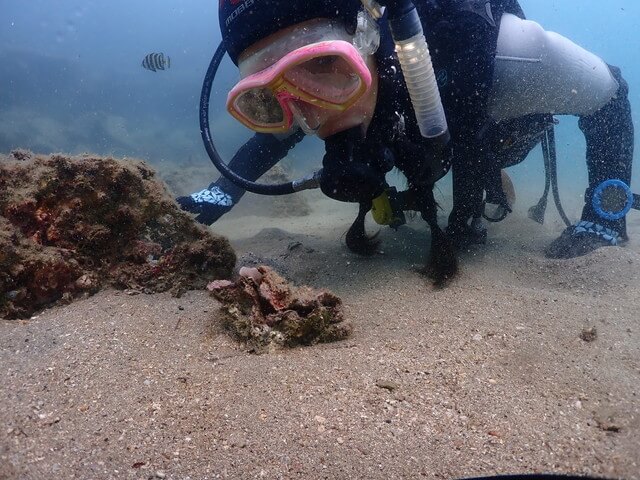 Diver