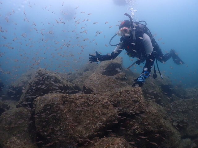 Diver