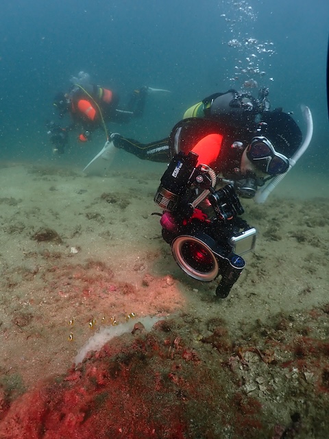 TG５