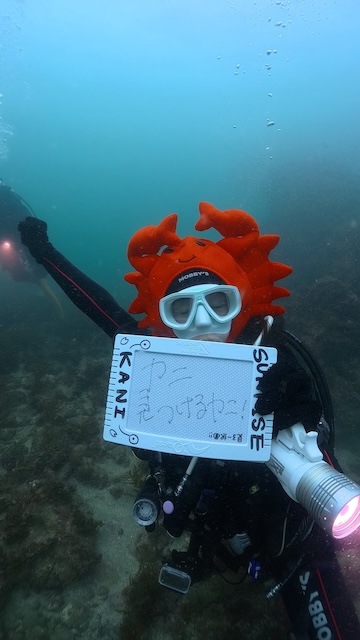 志賀島