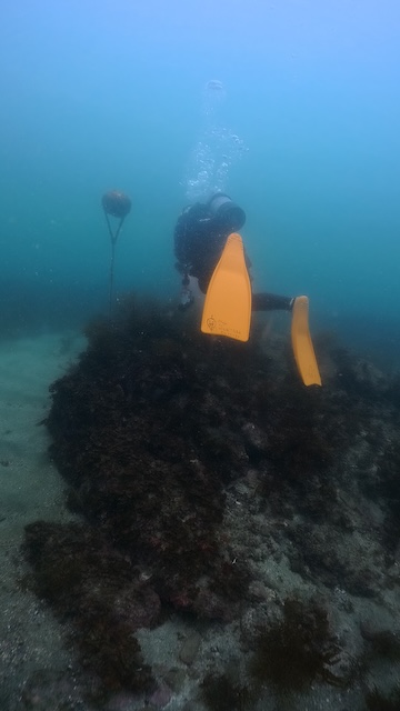 志賀島